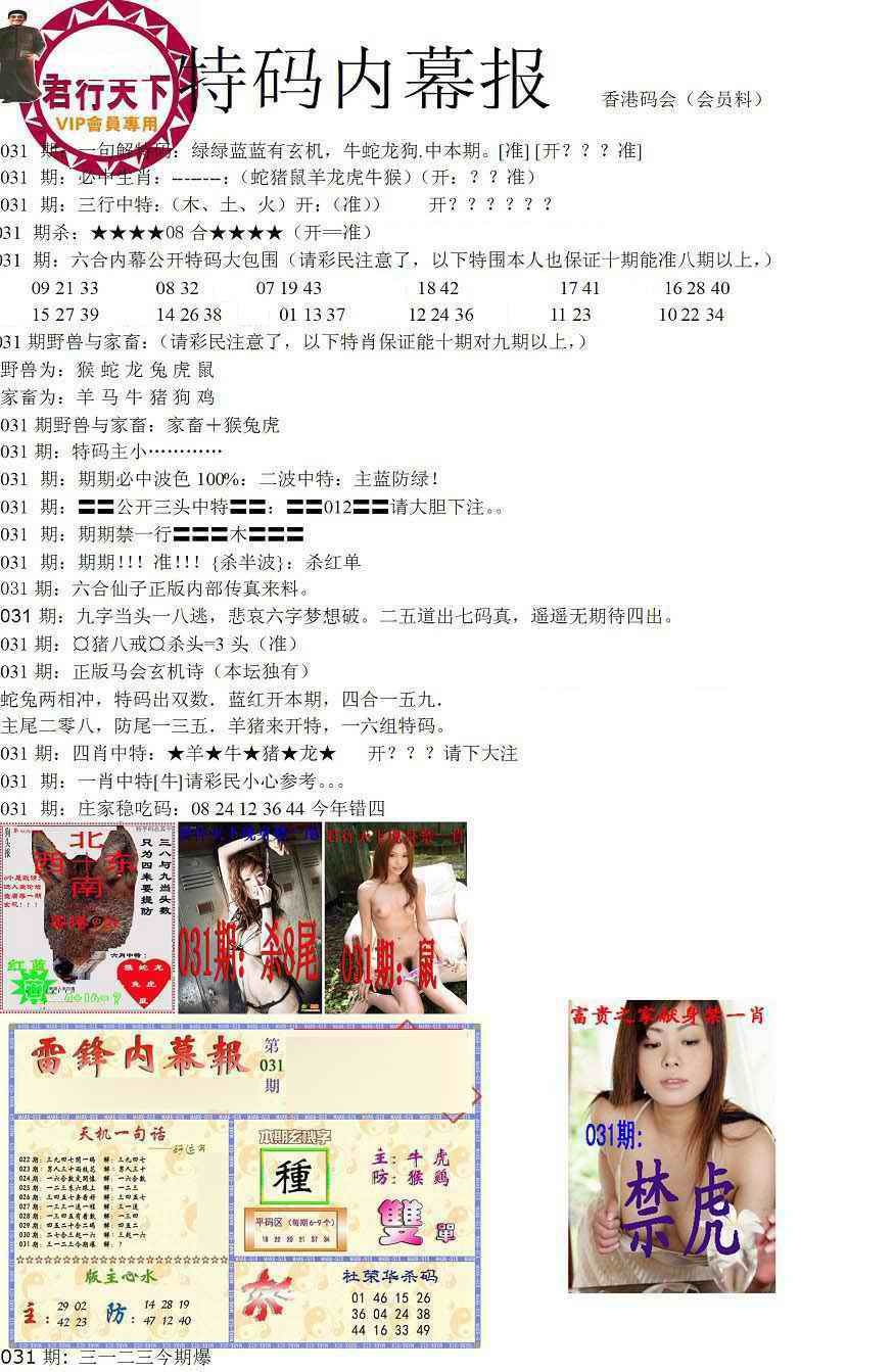 031期特码内幕报[图]